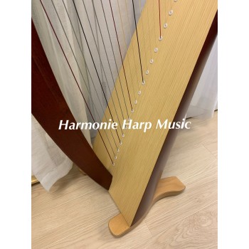 SOLD - 2nd Hand Salvi Mia 34 Strings SOLD - 2nd Hand Salvi Mia 34 Strings